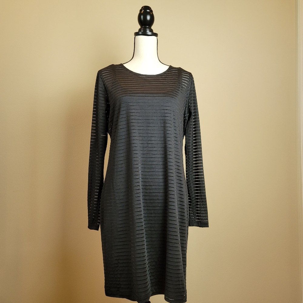 Forever 21+ Sheer Black Dress